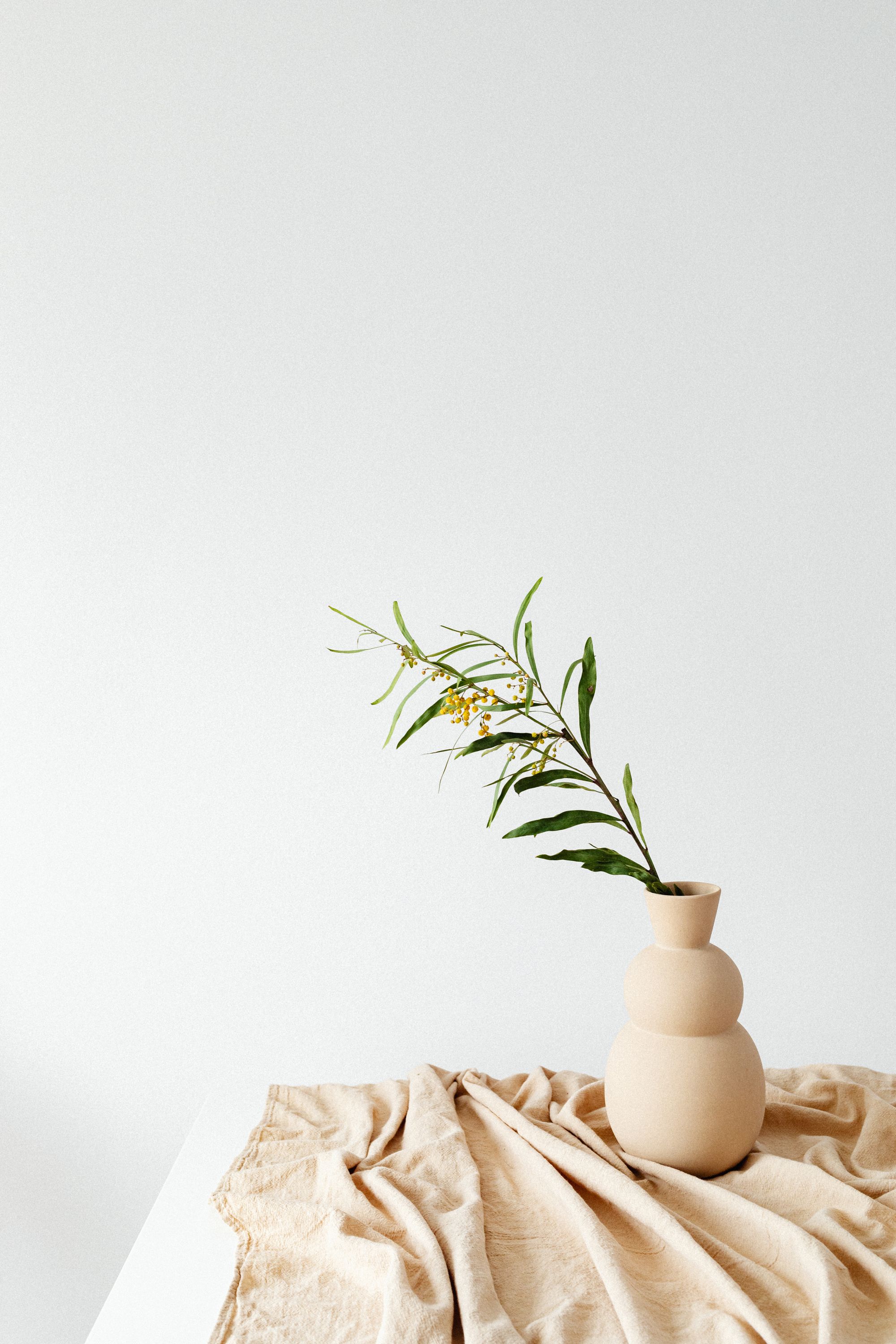 A slender flowering branch in a pale ceramic vase on draped linen