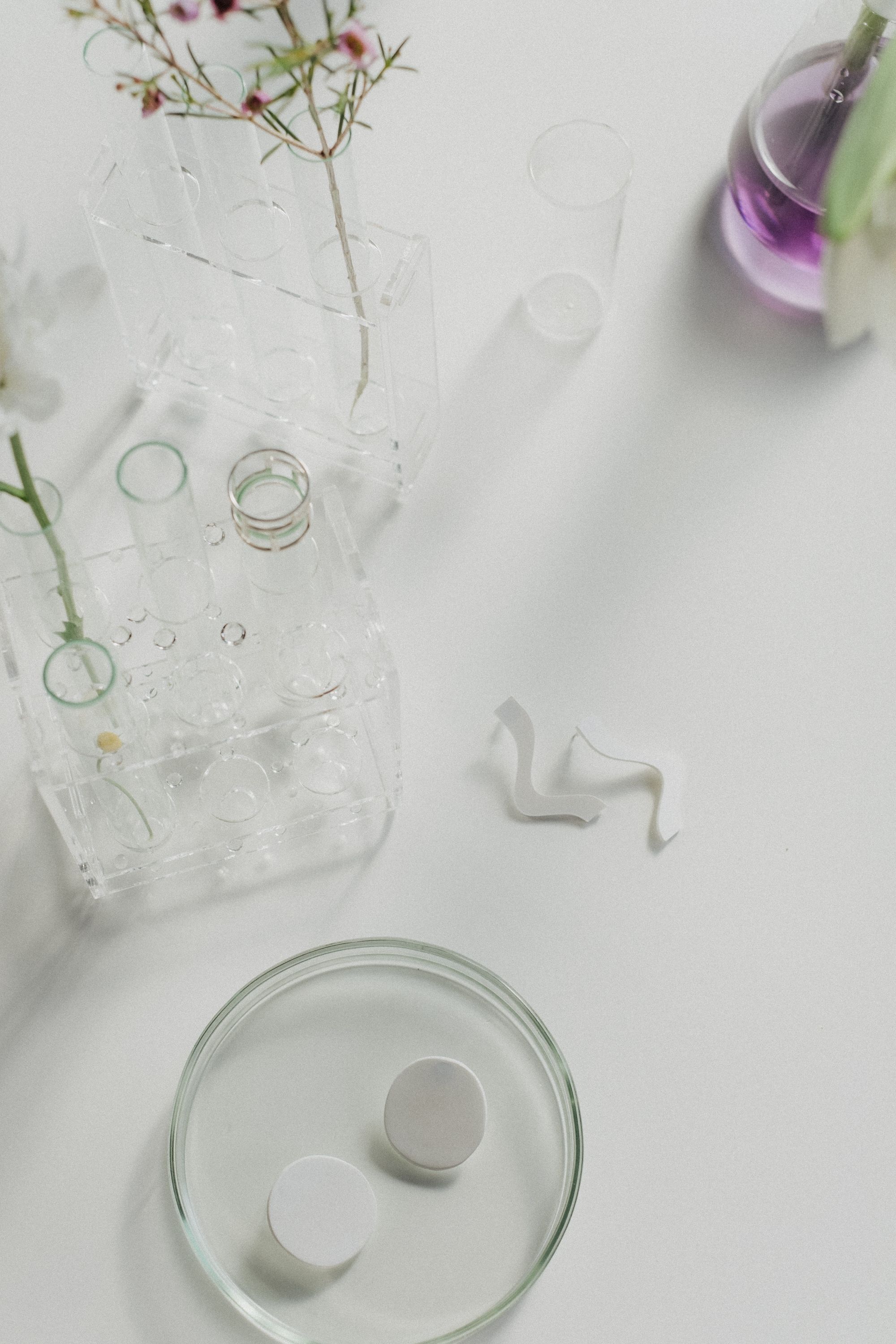 Clean laboratory glassware and petri dishes seen from above